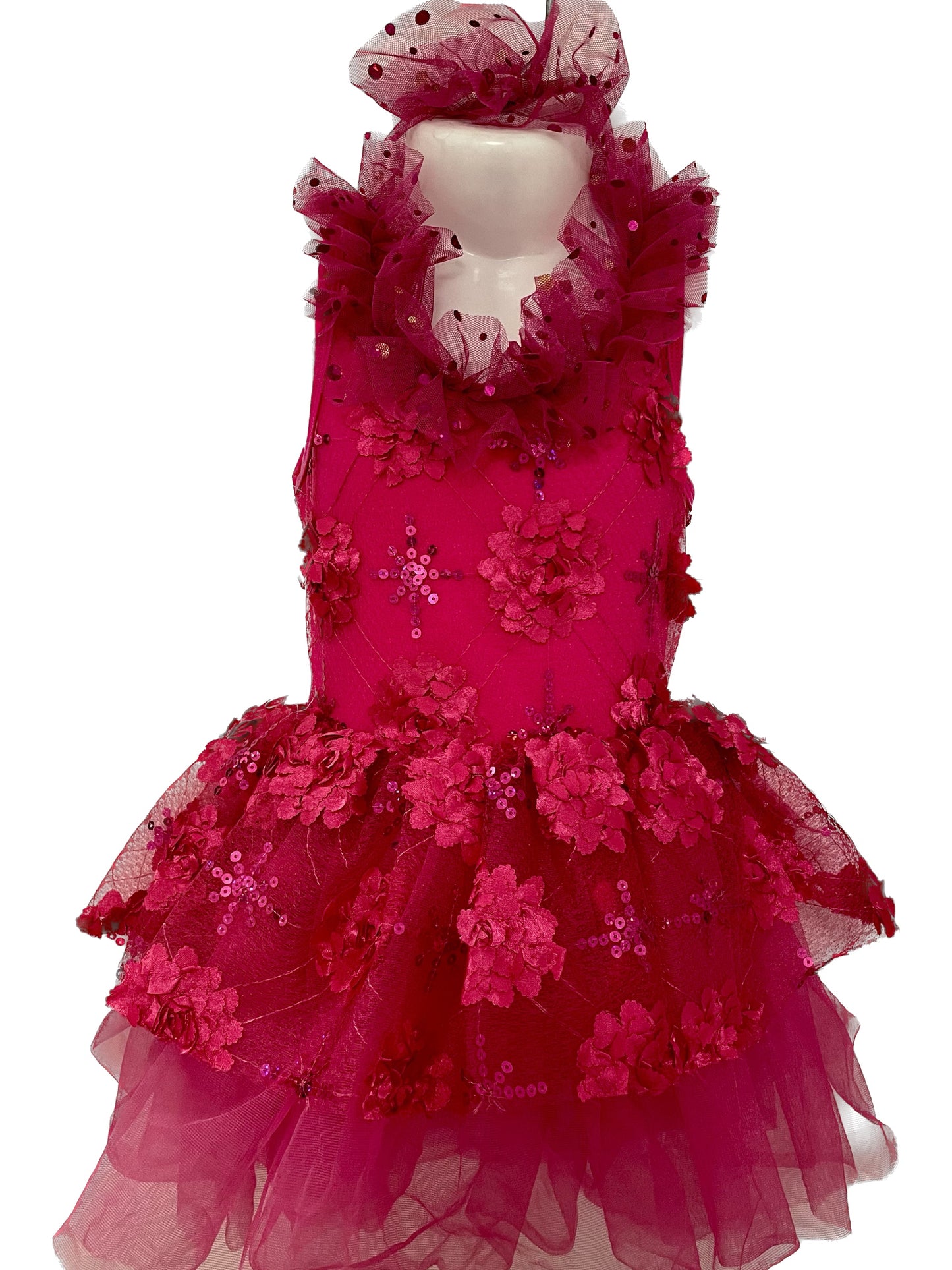 CARNATIONS