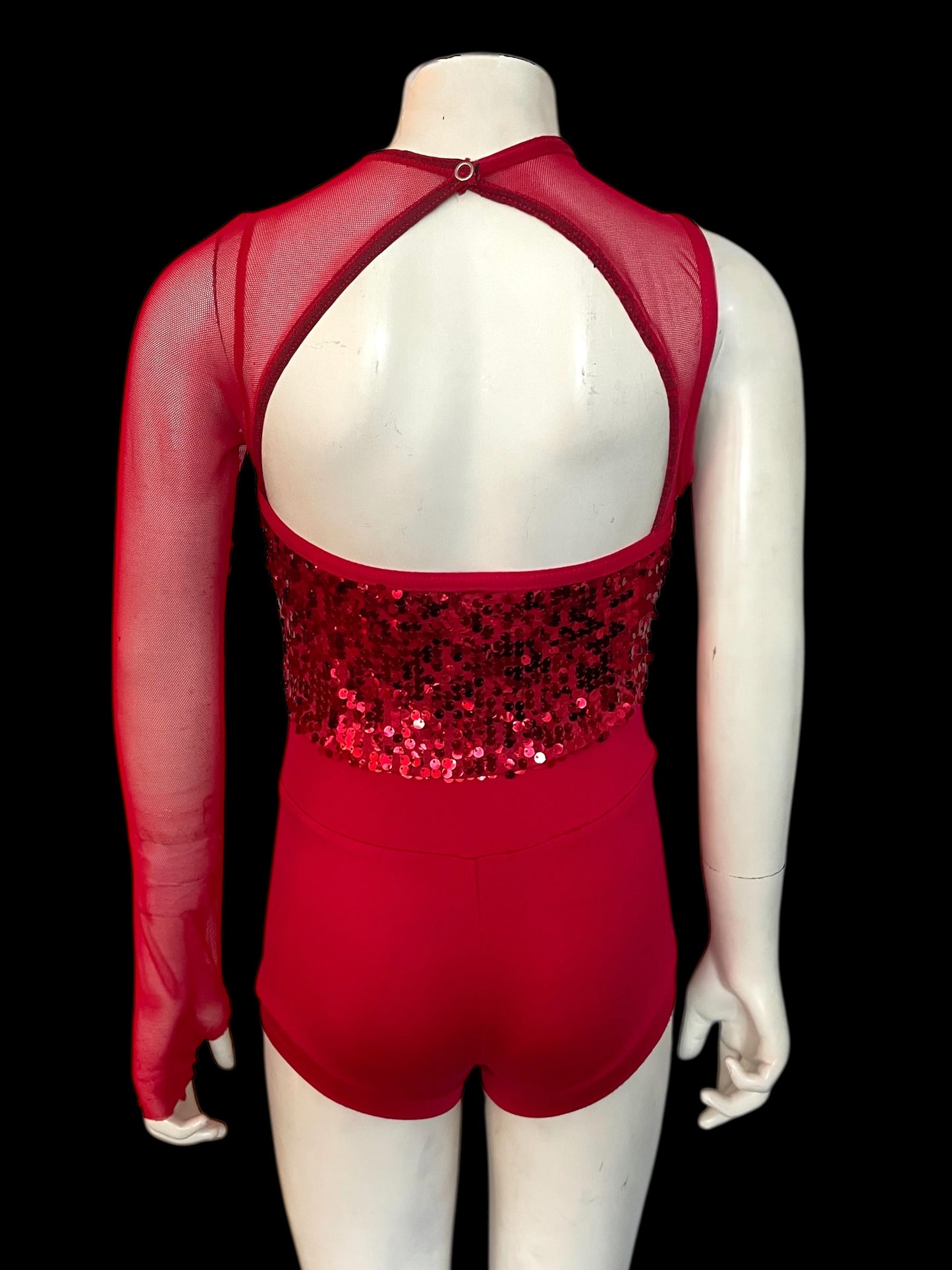 ASYMMETRICAL MESH AND SEQUIN BIKETARD-8968