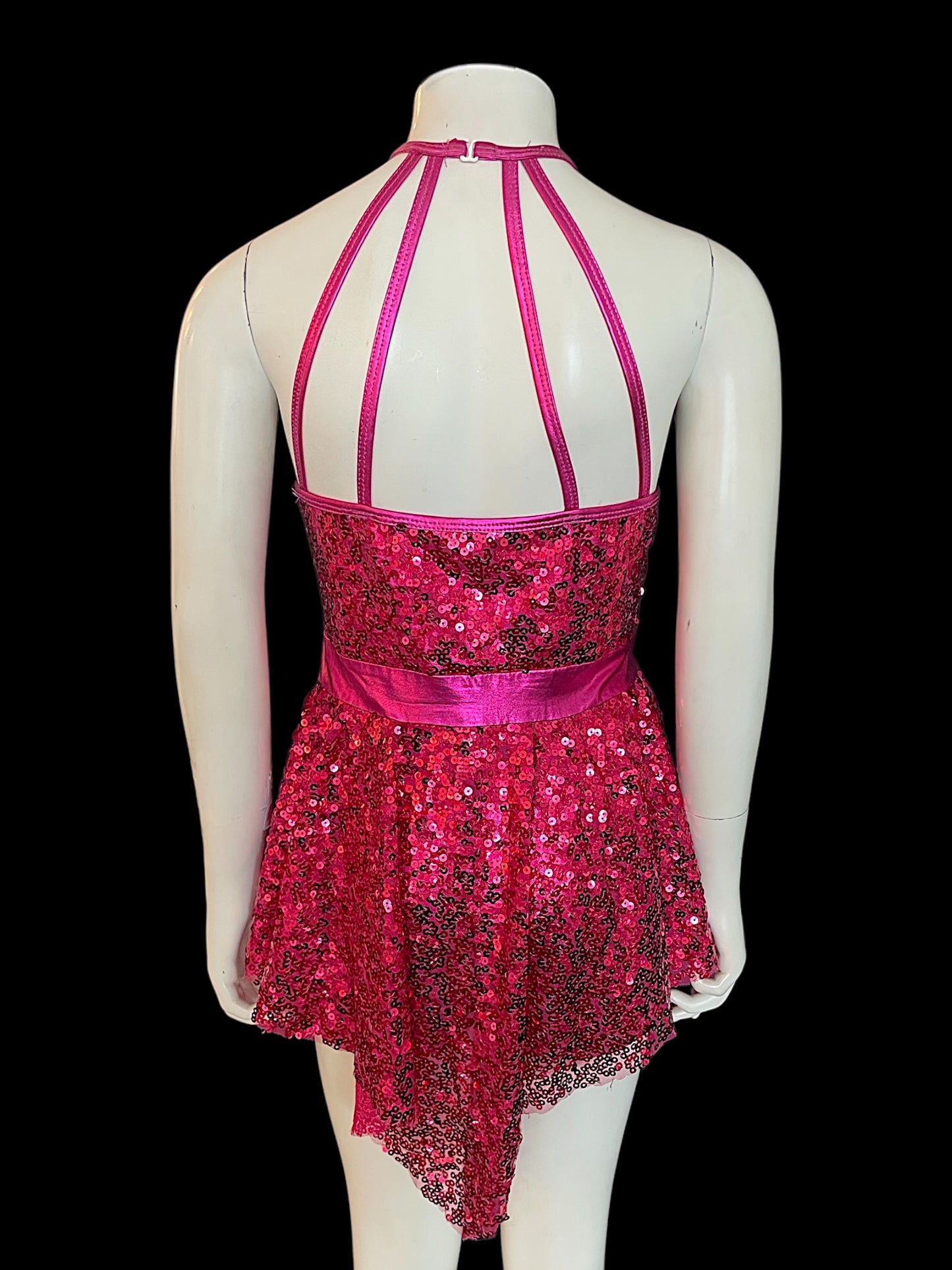 HOT PINK BIKETARD WITH SEQUIN SKIRT