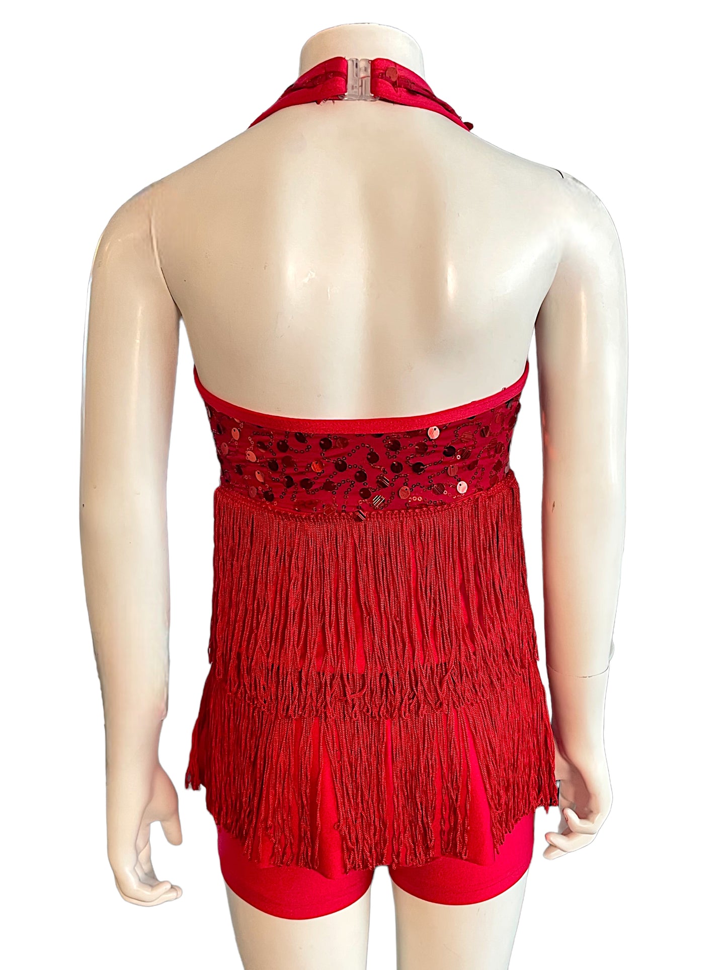 FRINGE AND SEQUIN BIKETARD