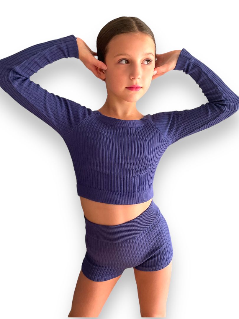 PLUM-LONG SLEEVE CROP SWEATER