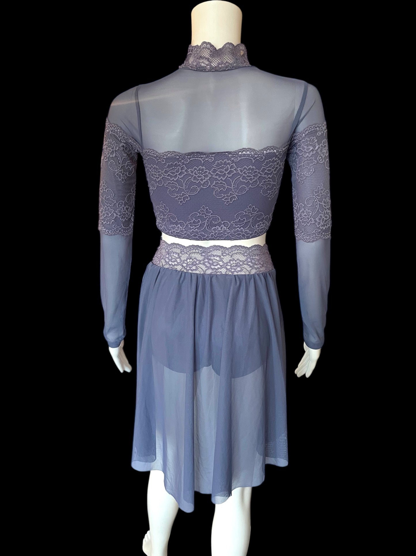 MESH AND LACE LONG SLEEVE CROP TOP-SL11012
