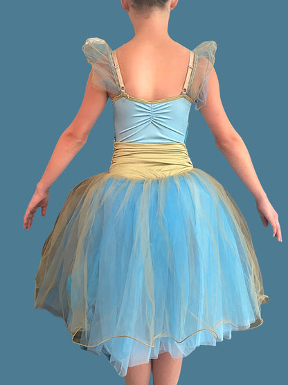 BLUE AND GOLD ROMANTIC TUTU