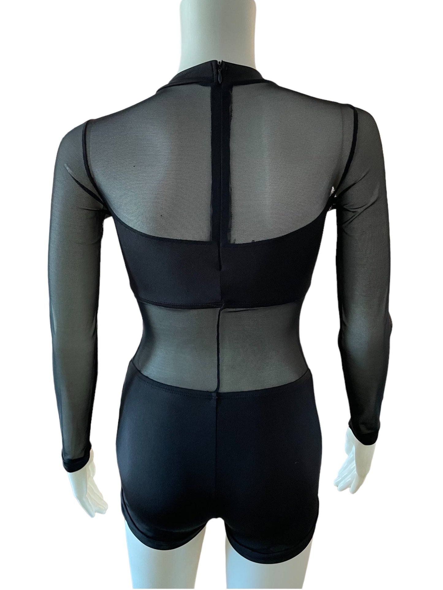 MESH AND SPANDEX BIKETARD