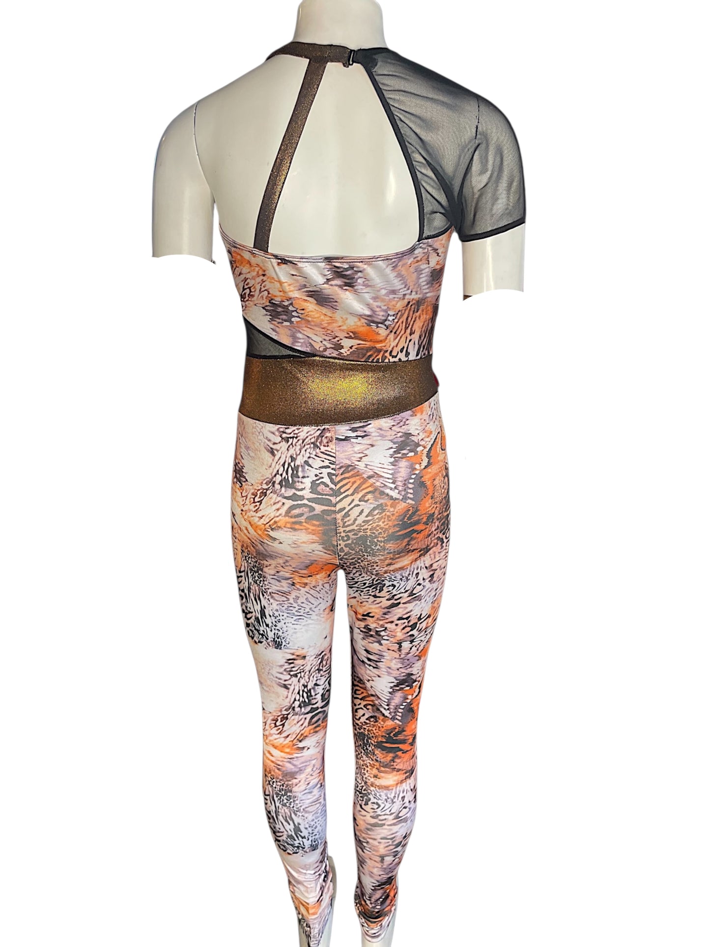 THE PRIDE LANDS-RC21588