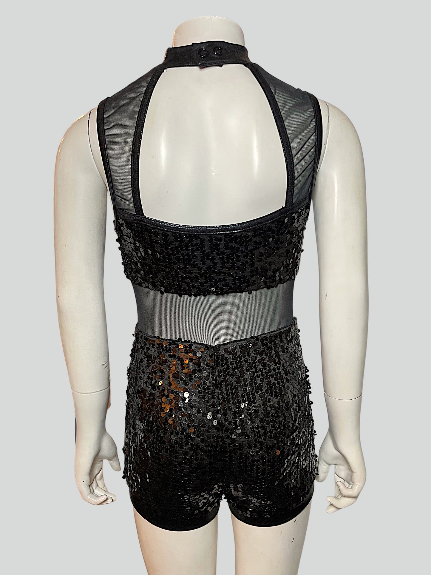 ULTRA SPARKLE MESH BIKETARD-13859