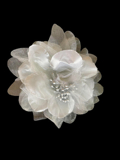 DANUBE WALTZ-7585